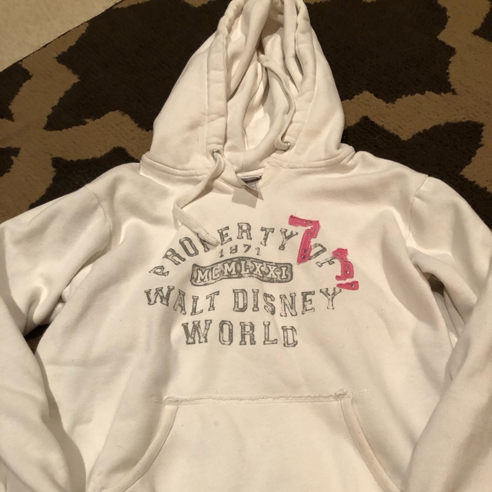 Walt Disney world hoodie